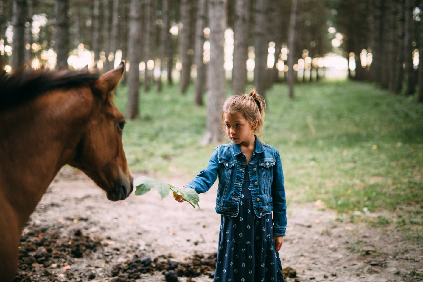 jeune fille nourissant un cheval